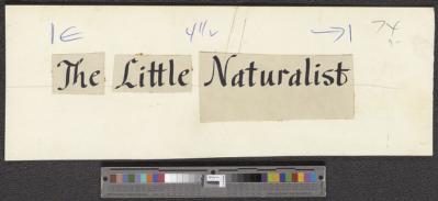 The Little Naturalist, circa 1959 [b008] [f004] [005a]