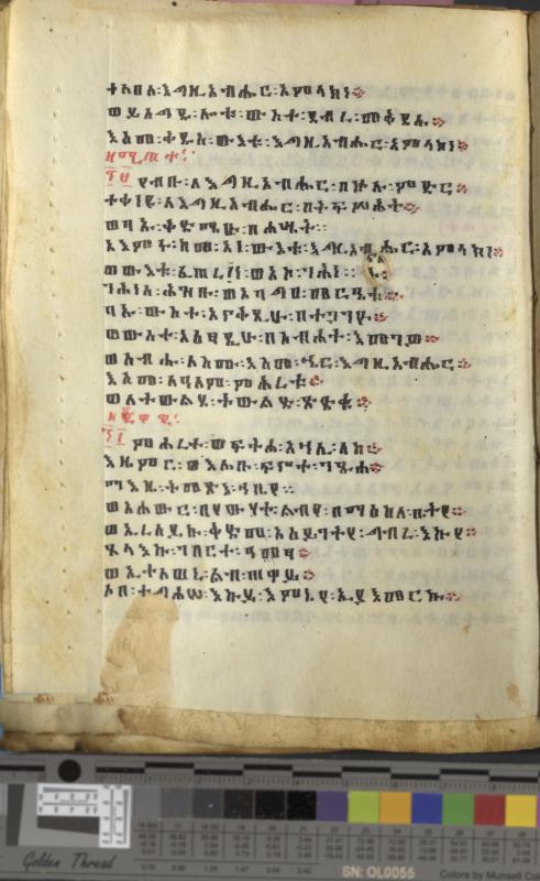 Ethiopian manuscript psalter (Dawit) (MS 104) [010]