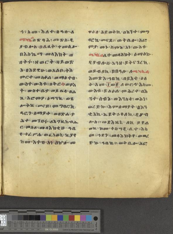 Ethiopian Homilies [173]