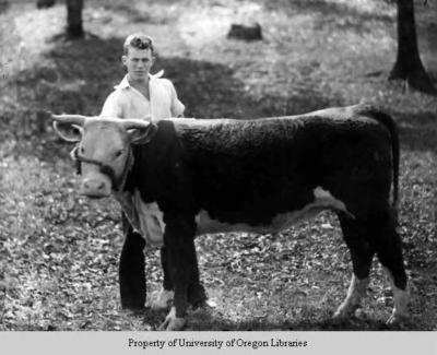 Berea student and steer