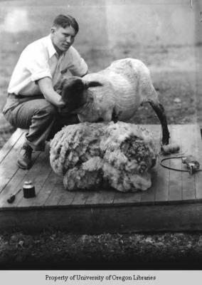 Student with sheep, Berea College