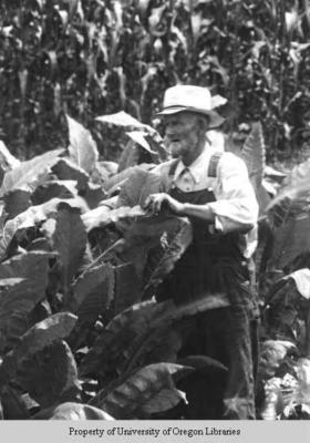 Robert Shook, New Found Creek, N.C. Farmer. “one for Farmer Cooperstine”