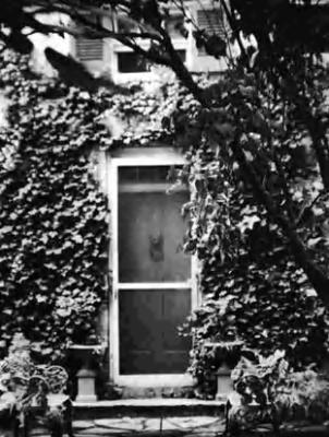 Ivy-covered doorway