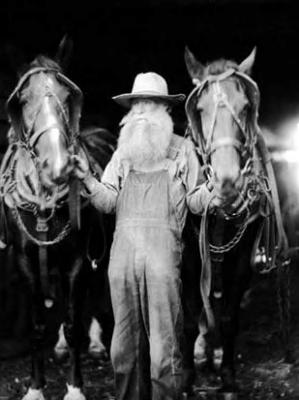 Man with beard, with team of horses