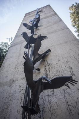 Flying Ducks Art Installation